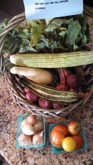 This week's produce.  We had a selection of summer squash, Armenian cucumber, red potatoes, Swiss chard, arugula, baby sweet onions, heirloom tomatoes, and beets!