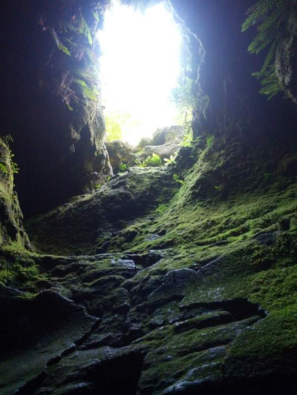 Upper Ape Cave.  This was 1 1/4 mile of quad-chewing, uphill scrambling, buried inside a lava tube.  Otherwordly and a priceless experience.  This particular view is of a natural skylight, about 80% of the way through the cave.